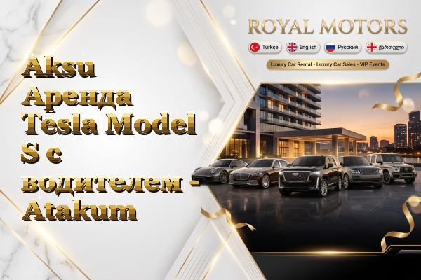 Aksu Аренда Tesla Model S с водителем - Atakum