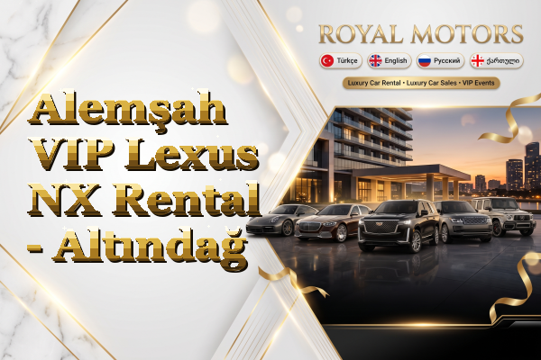 Alemşah VIP Lexus NX Rental - Altındağ