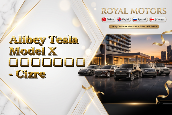 Alibey Tesla Model X გაყიდვა - Cizre
