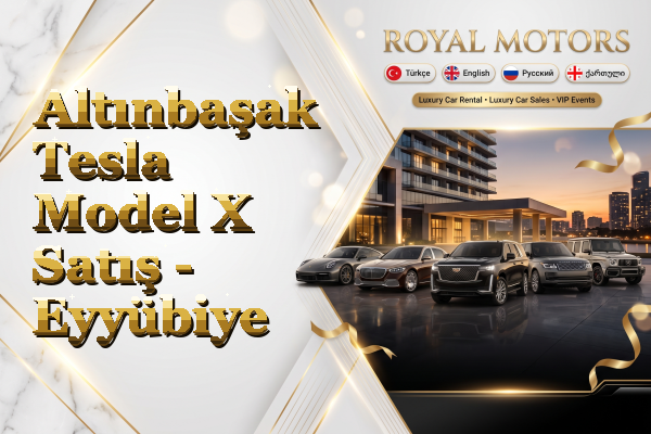 Altınbaşak Tesla Model X Satış - Eyyübiye