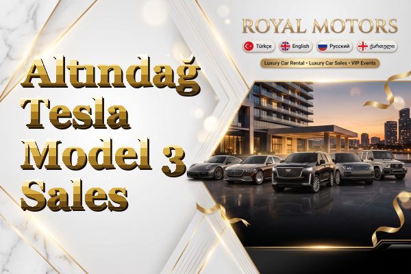 Altındağ Tesla Model 3 Sales