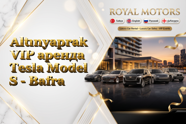 Altınyaprak VIP аренда Tesla Model S - Bafra