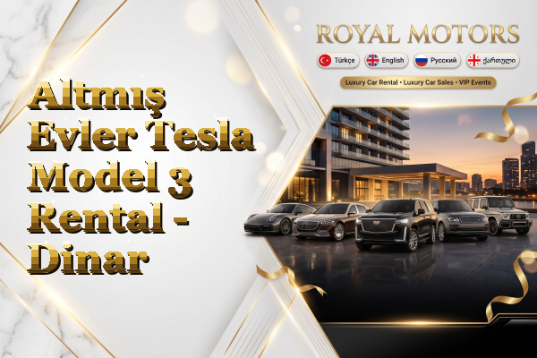 Altmış Evler Tesla Model 3 Rental - Dinar