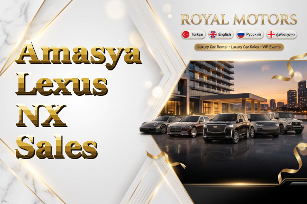 Amasya Lexus NX Sales