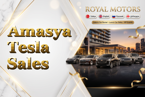 Amasya Tesla Sales