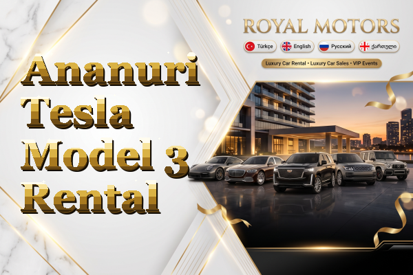 Ananuri Tesla Model 3 Rental