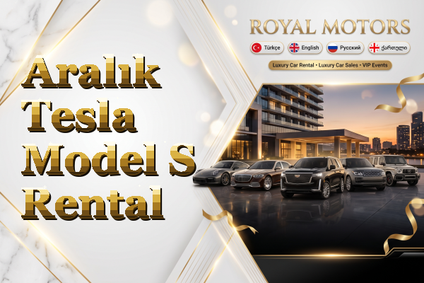 Aralık Tesla Model S Rental