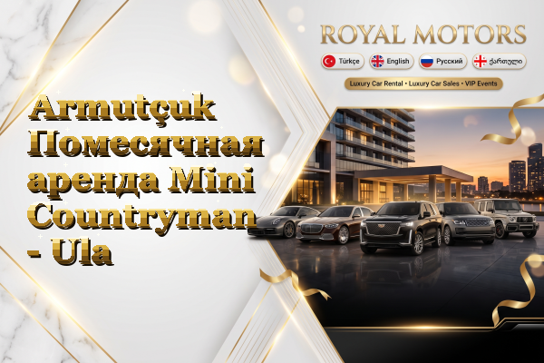 Armutçuk Помесячная аренда Mini Countryman - Ula