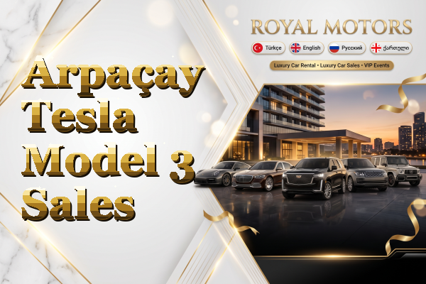 Arpaçay Tesla Model 3 Sales