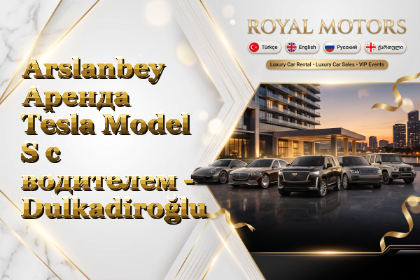 Arslanbey Аренда Tesla Model S с водителем - Dulkadiroğlu