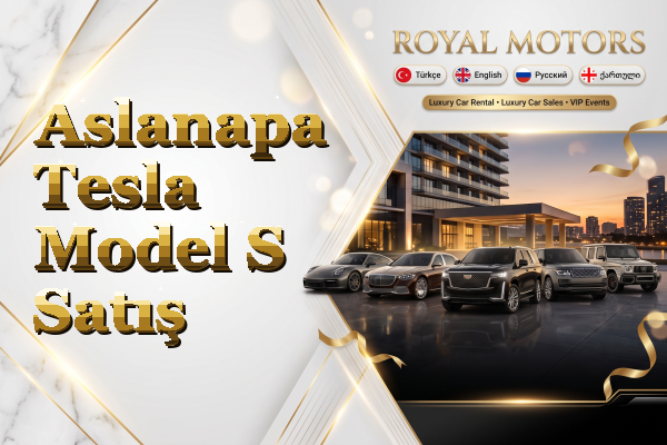 Aslanapa Tesla Model S Satış
