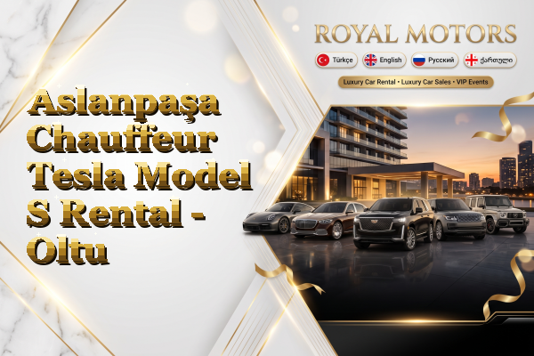 Aslanpaşa Chauffeur Tesla Model S Rental - Oltu