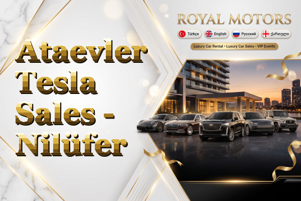 Ataevler Tesla Sales - Nilüfer