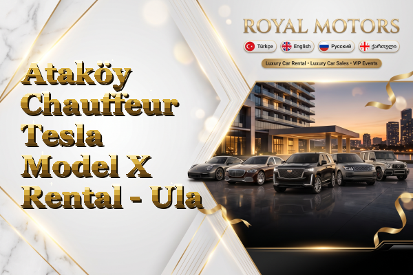Ataköy Chauffeur Tesla Model X Rental - Ula