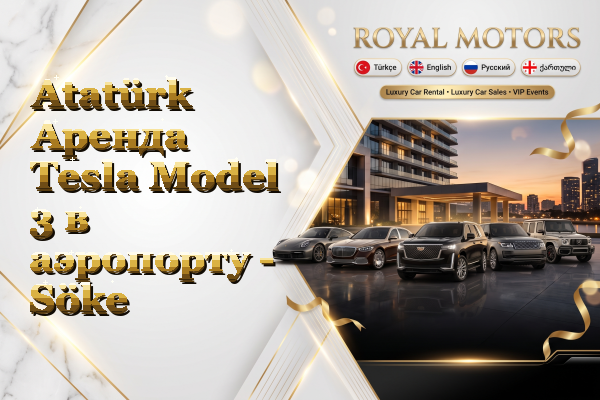 Atatürk Аренда Tesla Model 3 в аэропорту - Söke