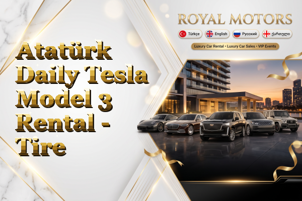 Atatürk Daily Tesla Model 3 Rental - Tire