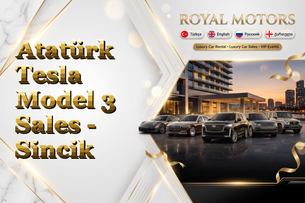 Atatürk Tesla Model 3 Sales - Sincik