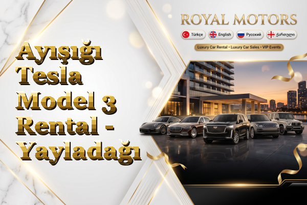 Ayışığı Tesla Model 3 Rental - Yayladağı