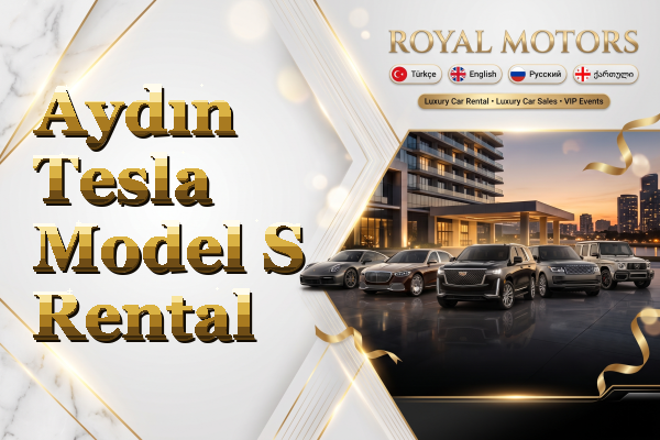 Aydın Tesla Model S Rental
