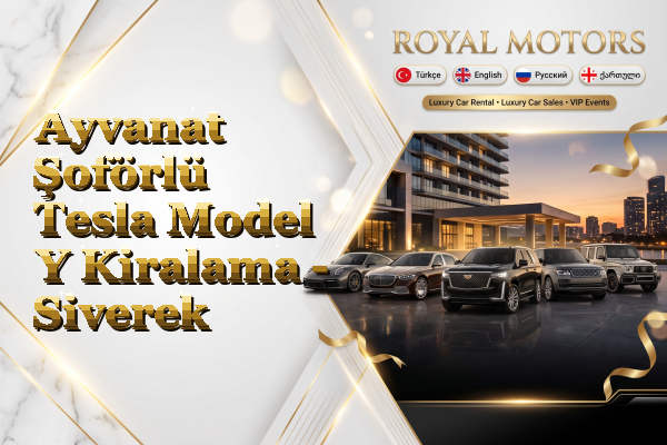 Ayvanat Şoförlü Tesla Model Y Kiralama - Siverek
