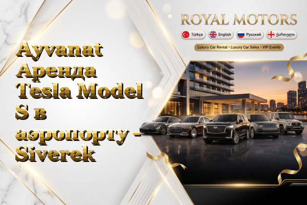 Ayvanat Аренда Tesla Model S в аэропорту - Siverek