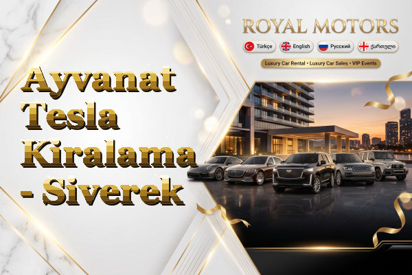 Ayvanat Tesla Kiralama - Siverek