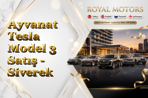 Ayvanat Tesla Model 3 Satış - Siverek