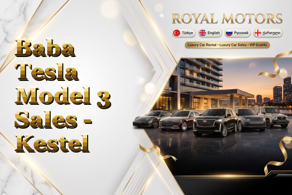 Baba Tesla Model 3 Sales - Kestel