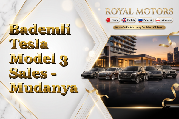 Bademli Tesla Model 3 Sales - Mudanya