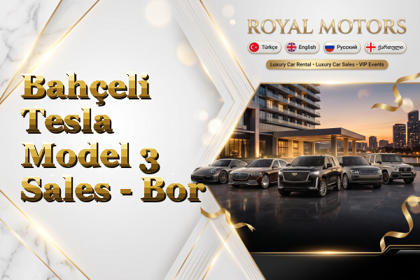 Bahçeli Tesla Model 3 Sales - Bor