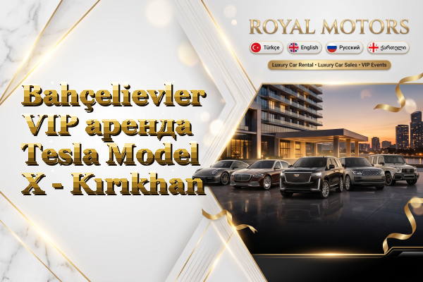 Bahçelievler VIP аренда Tesla Model X - Kırıkhan