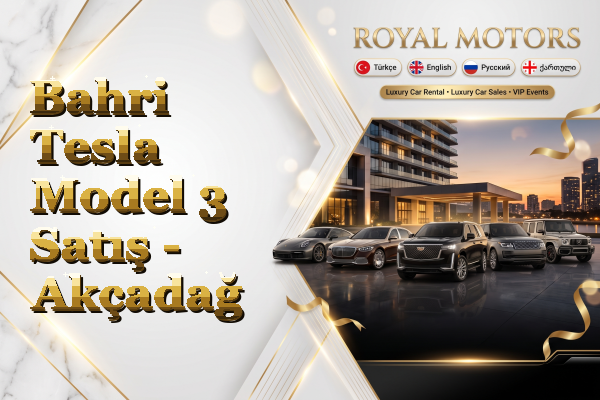 Bahri Tesla Model 3 Satış - Akçadağ