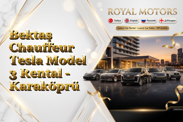 Bektaş Chauffeur Tesla Model 3 Rental - Karaköprü