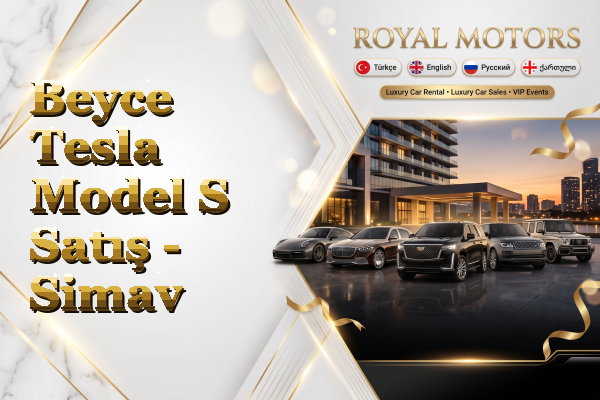 Beyce Tesla Model S Satış - Simav