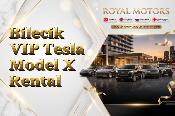 Bilecik VIP Tesla Model X Rental