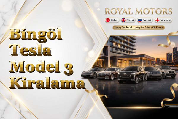 Bingöl Tesla Model 3 Kiralama