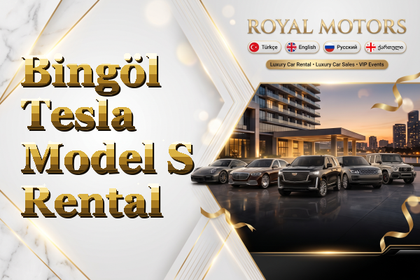 Bingöl Tesla Model S Rental