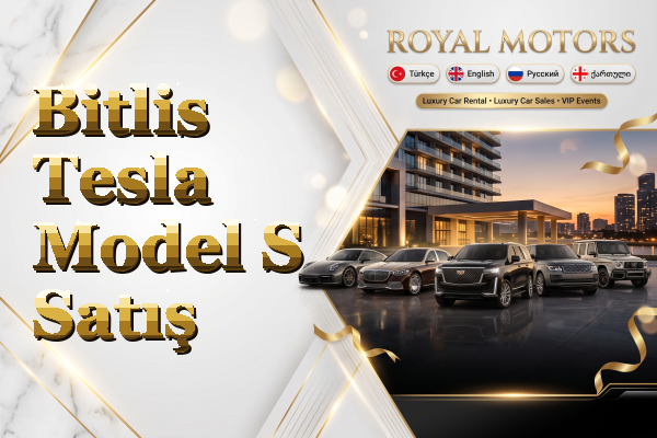 Bitlis Tesla Model S Satış