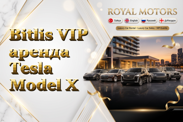 Bitlis VIP аренда Tesla Model X
