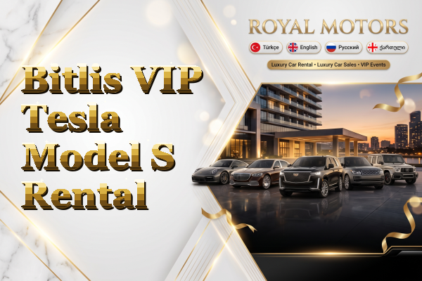 Bitlis VIP Tesla Model S Rental
