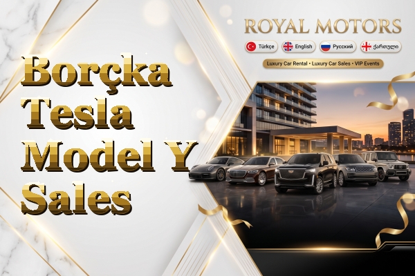 Borçka Tesla Model Y Sales