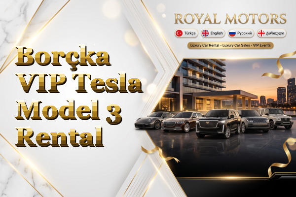 Borçka VIP Tesla Model 3 Rental