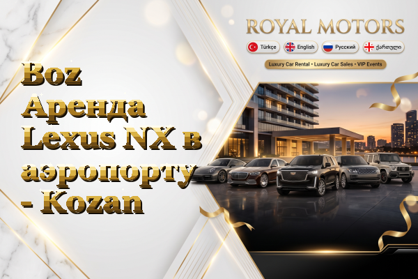 Boz Аренда Lexus NX в аэропорту - Kozan