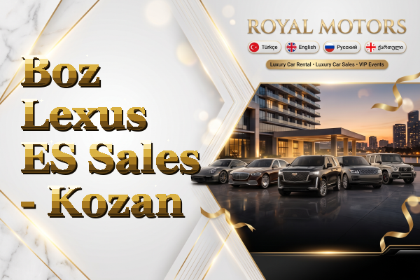 Boz Lexus ES Sales - Kozan