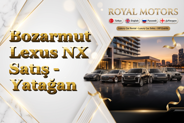 Bozarmut Lexus NX Satış - Yatağan