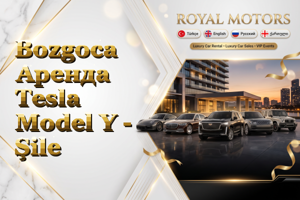Bozgoca Аренда Tesla Model Y - Şile