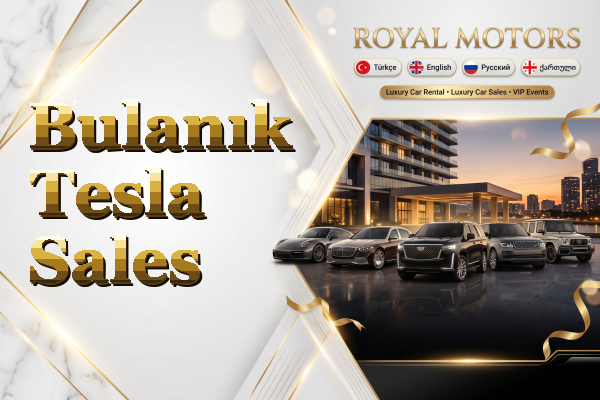 Bulanık Tesla Sales