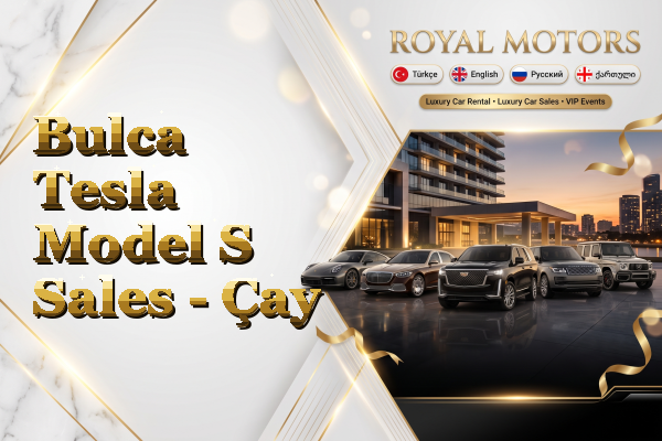Bulca Tesla Model S Sales - Çay