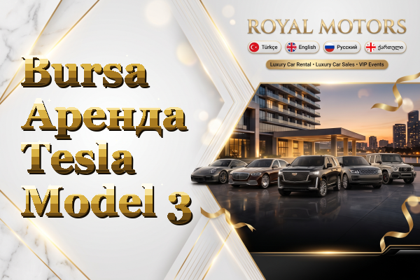 Bursa Аренда Tesla Model 3