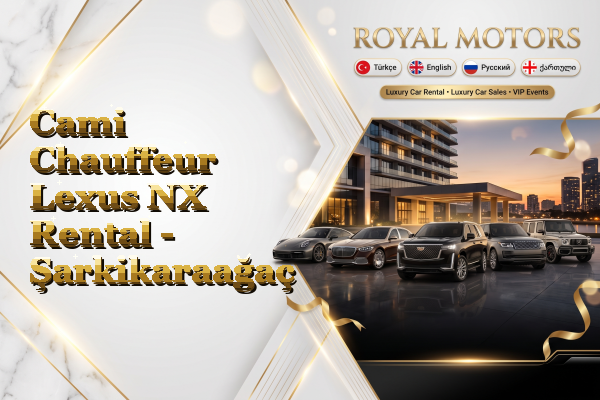 Cami Chauffeur Lexus NX Rental - Şarkikaraağaç